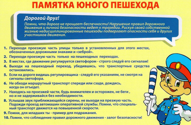 Дорога безопасности.