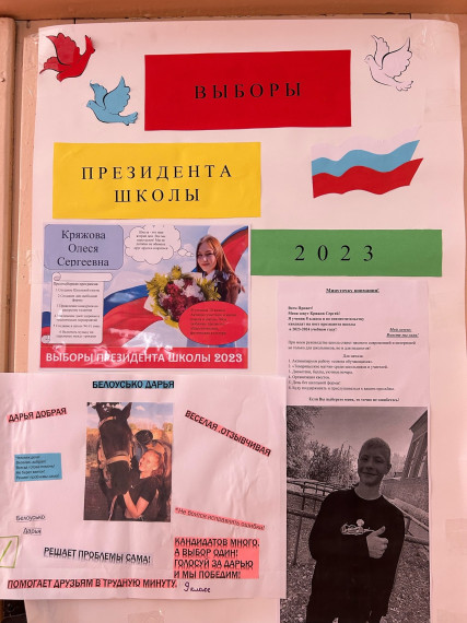 Выборы президента школы.